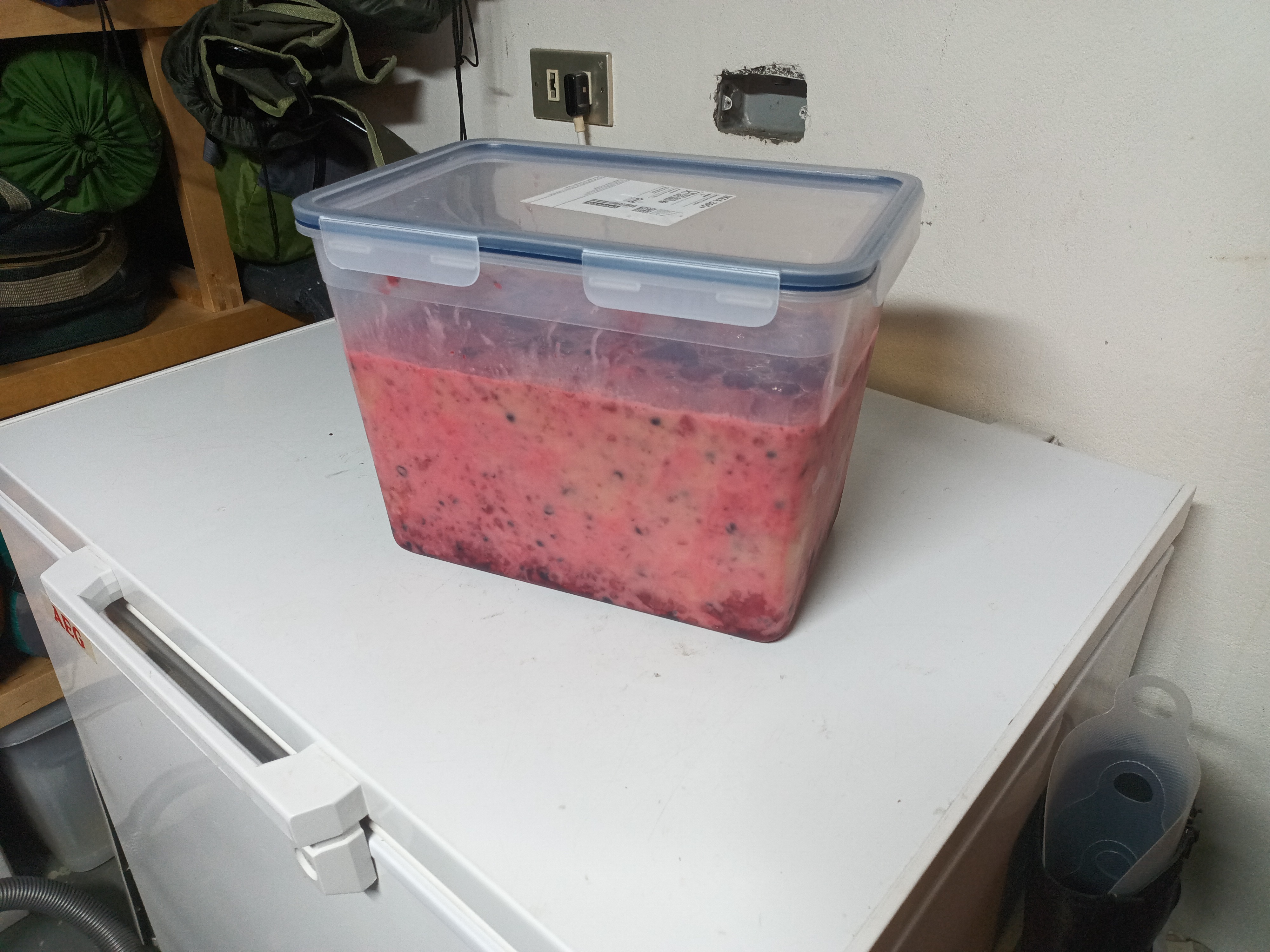 Berin og hunangið að blanda geði :>